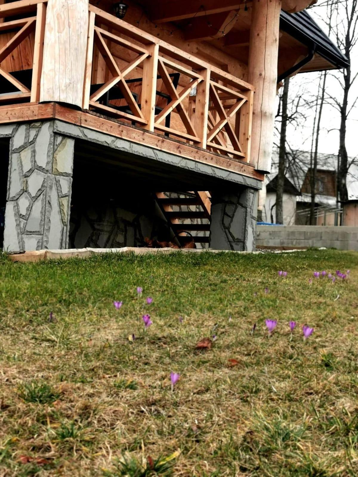 Chalpy Pod Ostryszem Villa Ciche  Exterior photo
